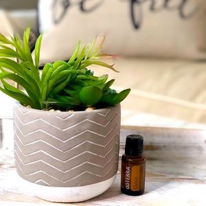 Doterra Clove Essential oil